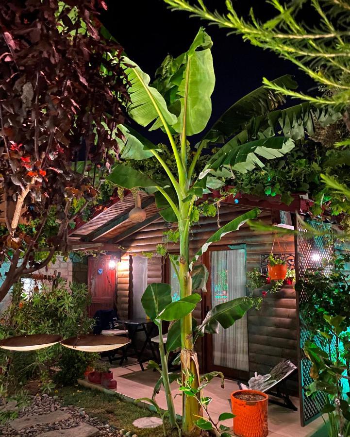 Alacati Kayezta Hotel ภายนอก รูปภาพ