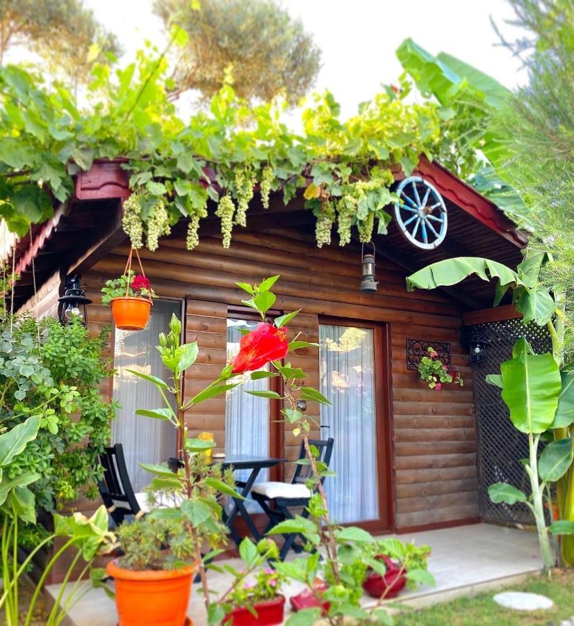 Alacati Kayezta Hotel ภายนอก รูปภาพ